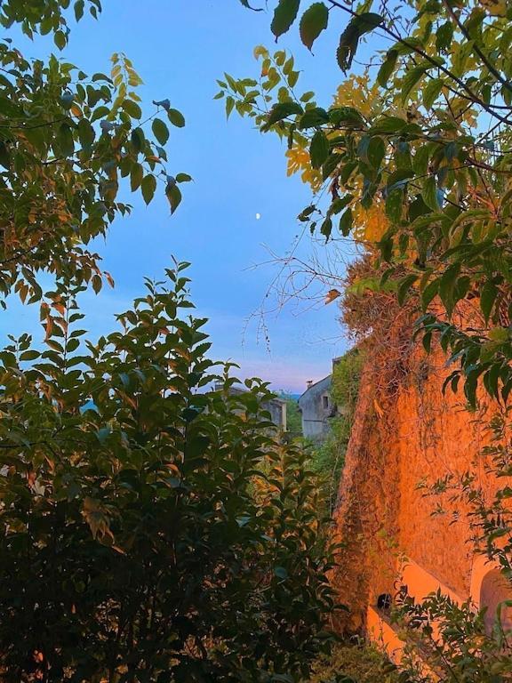 La Cadelle Villa Cotignac Eksteriør bilde